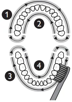 Philips-Sonicare-HX6423-34-Rechargeable-Electric-Power-Toothbrush-fig-10