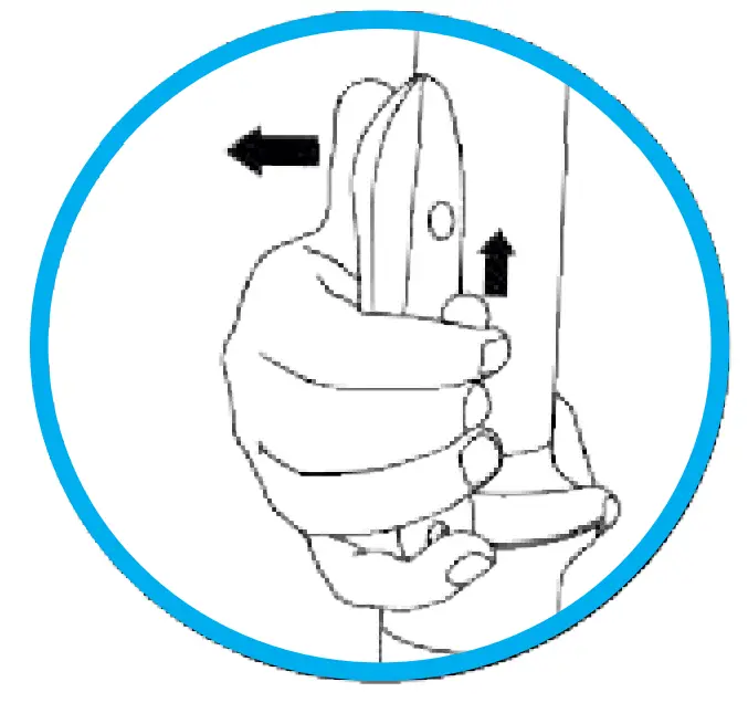 Assembly of the balance bike