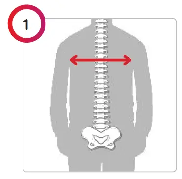 spex -ZYGO-Active-Contour-Mid-Back-Support-01