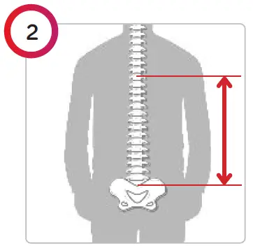 spex -ZYGO-Active-Contour-Mid-Back-Support-02