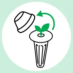 100306-BLK SPROUT - After Sprouting