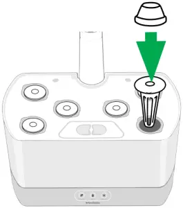 AeroGarden Up and Growing - Step 4