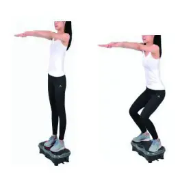 Kmart 42994756 Vibration Trainer - Squat