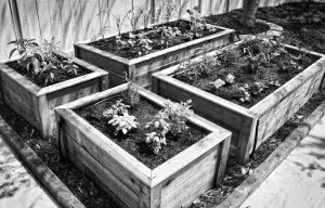 DIG Raised Bed Drip Watering System ML50 - INSTALLATION METHODS