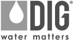 DIG logo