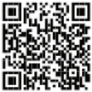 OpenEye OE C1016T2 2MP Outdoor IP Turre - QR code 1