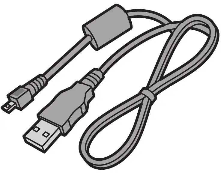 Panasonic Digital Camera- Battery-7