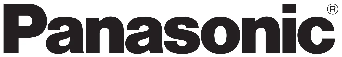 Panasonic Digital Camera- Logo