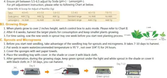 FIG 9 Young Plant Stage.JPG