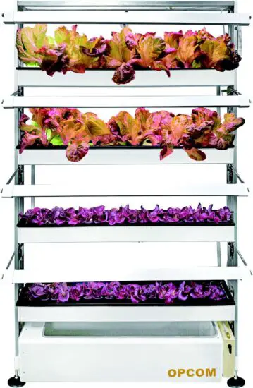 OPCOM Grow Wall3C Hydroponics Grow Wall 3C.jpg