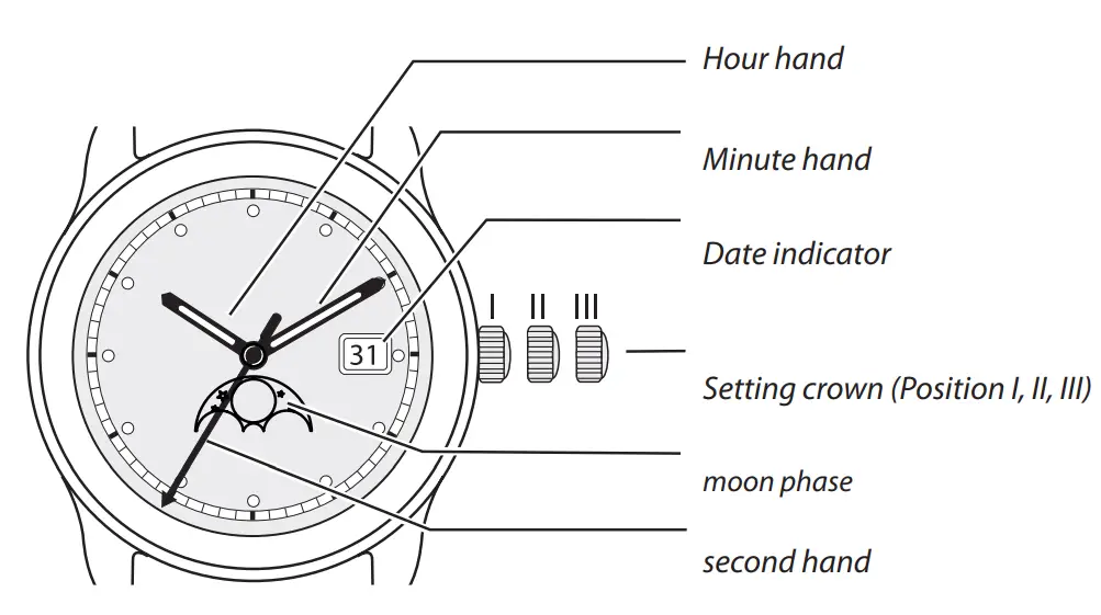 bauhaus SW200 Sellita Automatic Watch with Date and Leather Strap - Watch hands 2