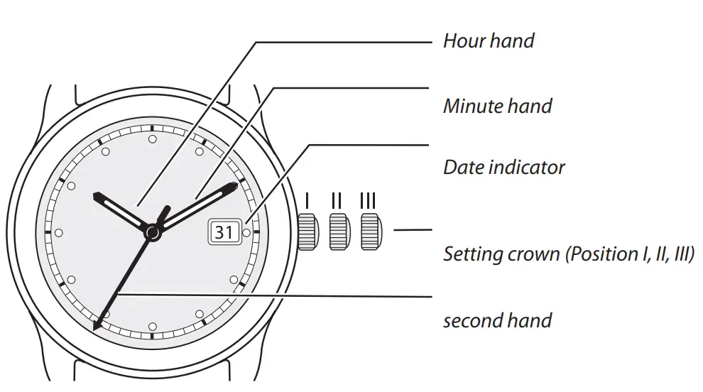 bauhaus SW200 Sellita Automatic Watch with Date and Leather Strap - Watch hands