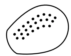 BlueParrott-S650-XT-Noise-Cancelling-Bluetooth-Headset-5