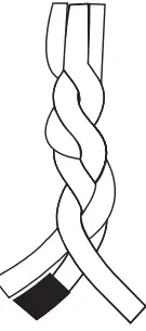 Hunter 19797 7 Light Chandelier-fig5