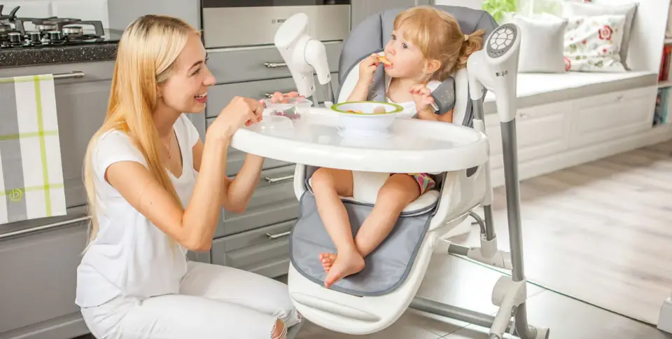 Lionelo Niles High Chair And Baby Swing User Manual Lionelo Niles High Chair And Baby Swing User Manual