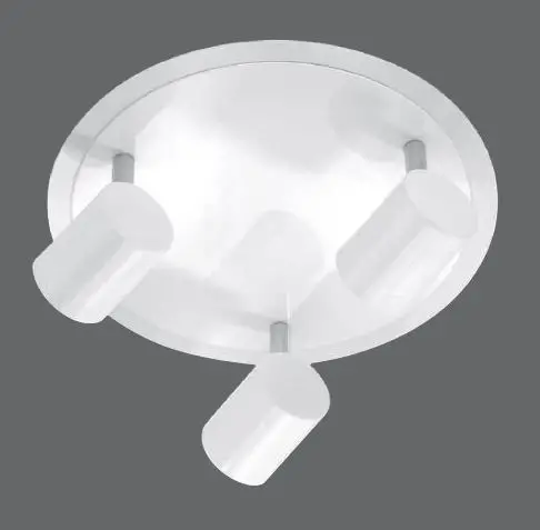 Paul-Neuhaus-11943-LED-Ceiling-Light-product