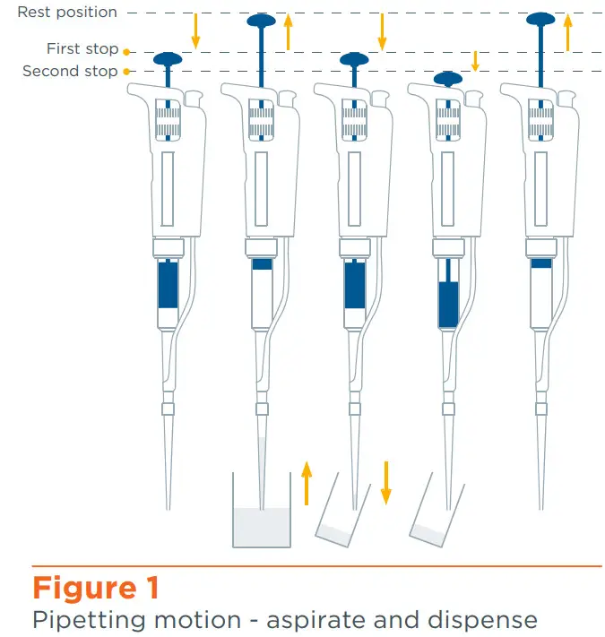 GILSON Pipetman G Pipette - pipette