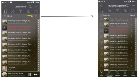 Fiio M15 Complete - Bulk management