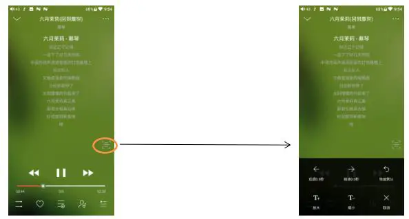 Fiio M15 Complete - adjust the lyrics timeline