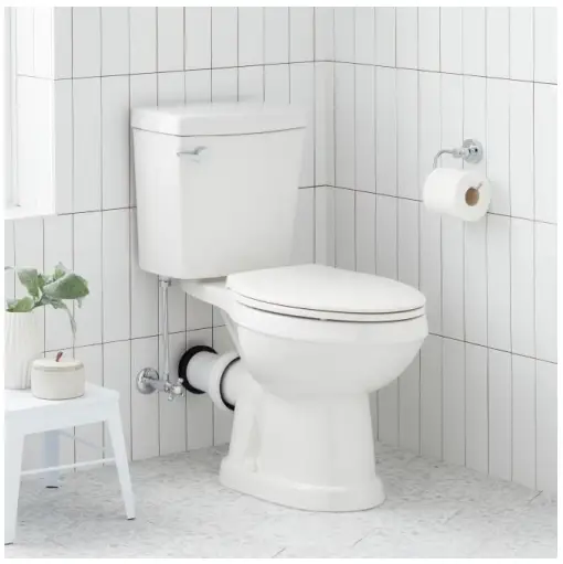 953821 Waycross Two Piece European Rear Outlet Toilet