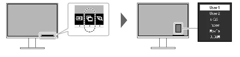 FlexScan Color LCD Monitor EV2485 fig9