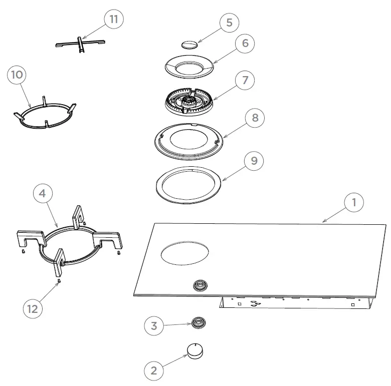 FISHER PAYKEL CGI905DLPTB4 Gas + Induction Cooktop FIG1