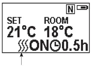 GAZCO Radiance LED Electric Fire Range with Thermostatic Remote Control 11