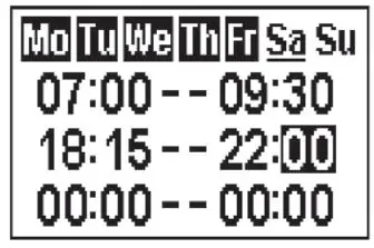 GAZCO Radiance LED Electric Fire Range with Thermostatic Remote Control 13