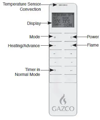 GAZCO Radiance LED Electric Fire Range with Thermostatic Remote Control 3