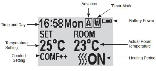 GAZCO Radiance LED Electric Fire Range with Thermostatic Remote Control 4
