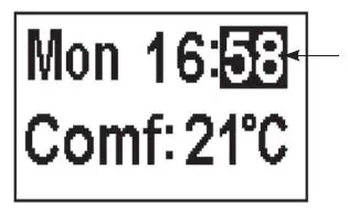 GAZCO Radiance LED Electric Fire Range with Thermostatic Remote Control 5