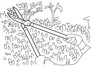 makita Cordless Hedge Trimmer - 6