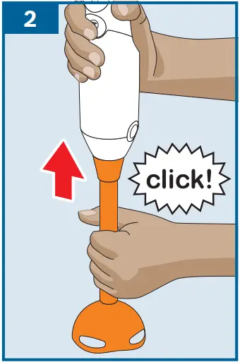 BOSCH MS6CB6110 ErgoMixx Hand Blender B 2