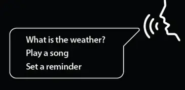 activate Voice Assistant