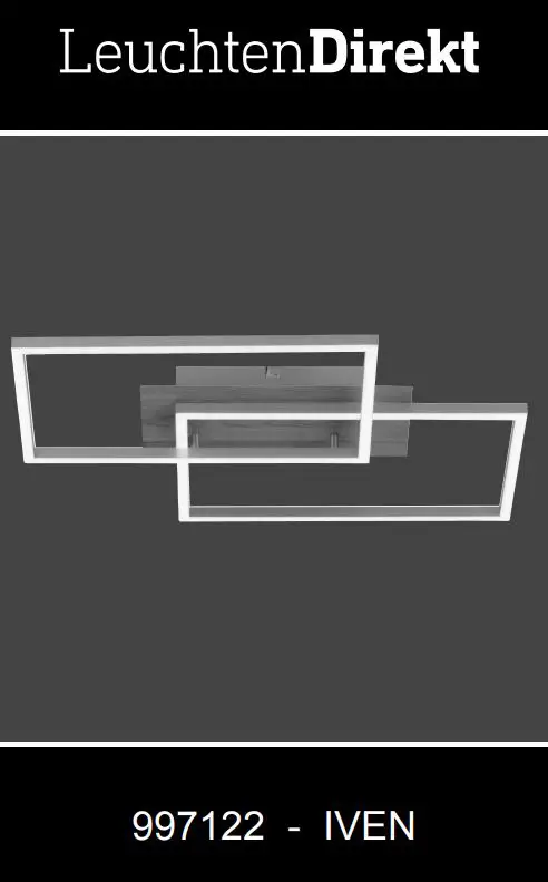 Paul Neuhaus 14018-78 Iven Ceiling Lamp Instruction Manual