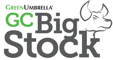 GCBIG - logo