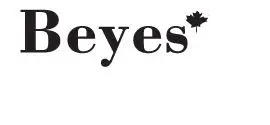 Beyes-S20A-Maxso-E-Type-Straight-Attachment-logo