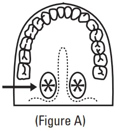 microlife MT1P21 PRO 30 Second Dishwasher Safe Thermometer - Oral Use