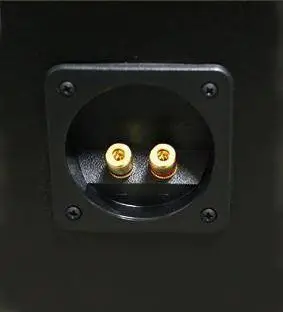 LEGACY Silhouette Center Loudspeaker System - The Terminal Plate