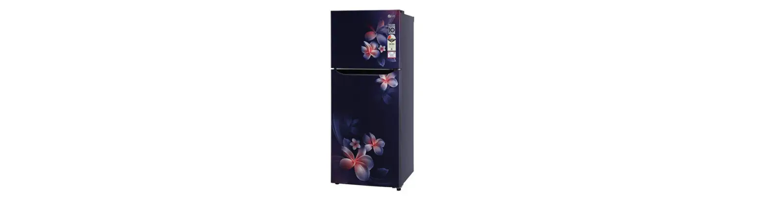 Lg Gl-n292dbpy 260l 2 Star Double Door Refrigerator Owner's Manual Lg Gl-n292dbpy 260l 2 Star Double Door Refrigerator Owner's Manual
