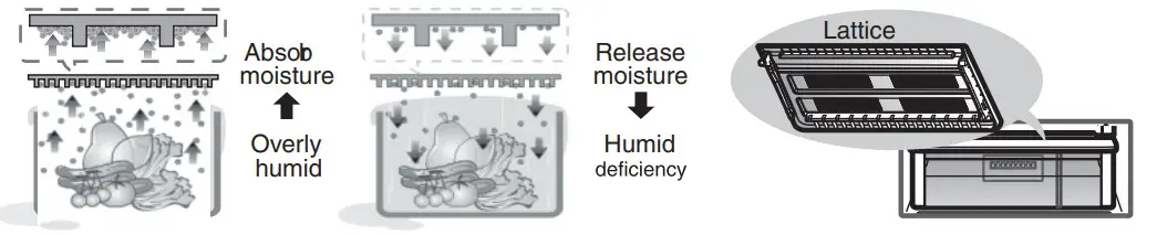 LG GL-N292DBPY 260L 2 Star Double Door Refrigerator - figure 39