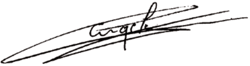 CORALLY C 00191 Sketer XP 4S Monster Truck 4WD - FIG 16