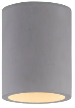 Paul Neuhaus 7610946 Eton 1 Light Source Ceiling Light