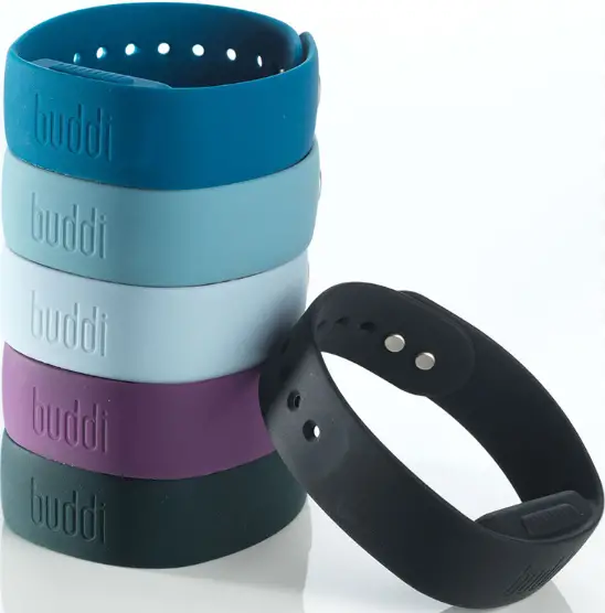 buddi ZDLRF3 Secure Band-FIG1