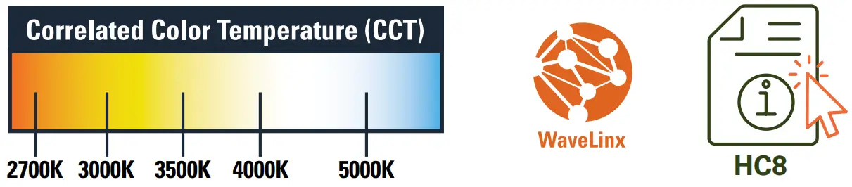 HC8
8” Downlight and Wall Wash