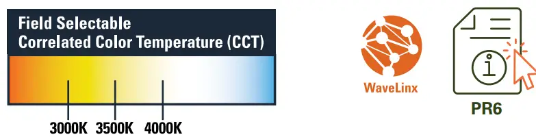 PR6 6” LED Downlight and Wall Wash