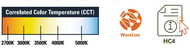 Hc4 4” Downlight And Wall Wash