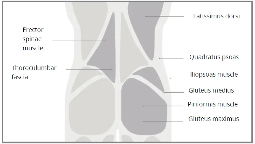 Yunmai-Fascia-Massage-Gun-Extra-Mini-fig-10