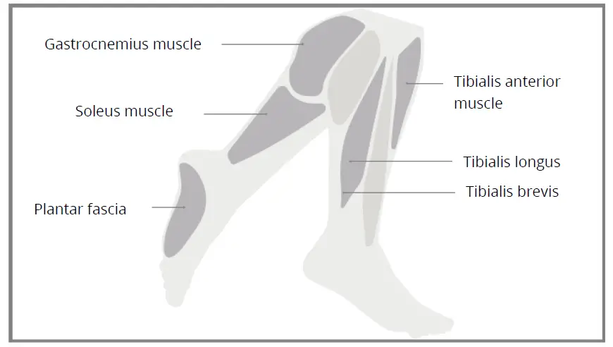 Yunmai-Fascia-Massage-Gun-Extra-Mini-fig-12