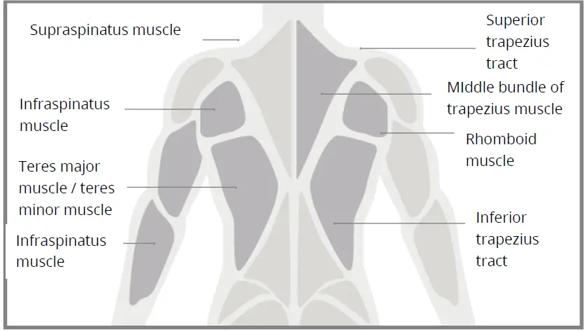 Yunmai-Fascia-Massage-Gun-Extra-Mini-fig-9